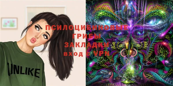 соль ск Ельня