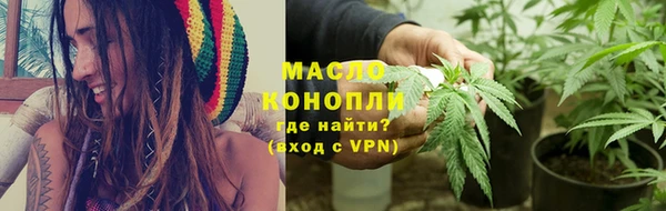 соль ск Ельня