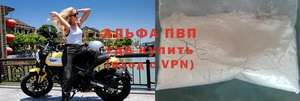соль ск Ельня