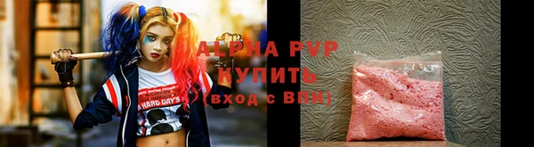 соль ск Ельня