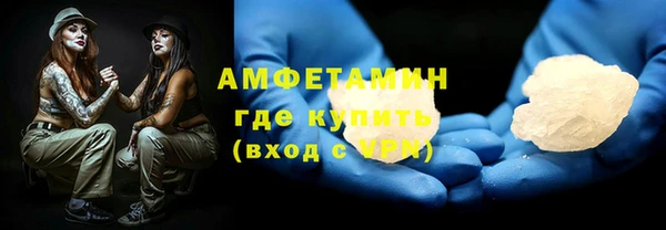 соль ск Ельня