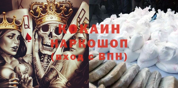 соль ск Ельня