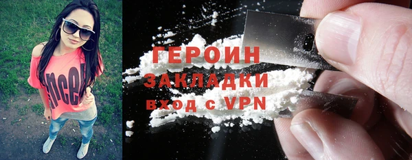 соль ск Ельня