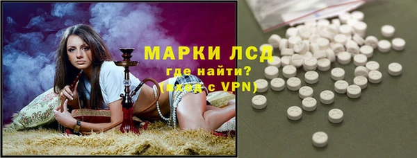 соль ск Ельня