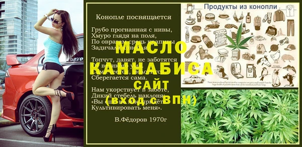 соль ск Ельня