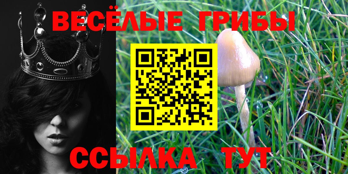 Галлюциногенные грибы ЛСД Среднеуральск